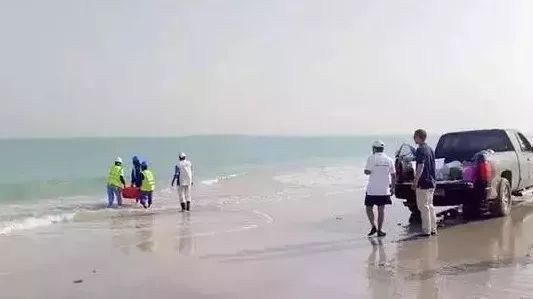 贝斯特 - 全球最奢华的游戏平台