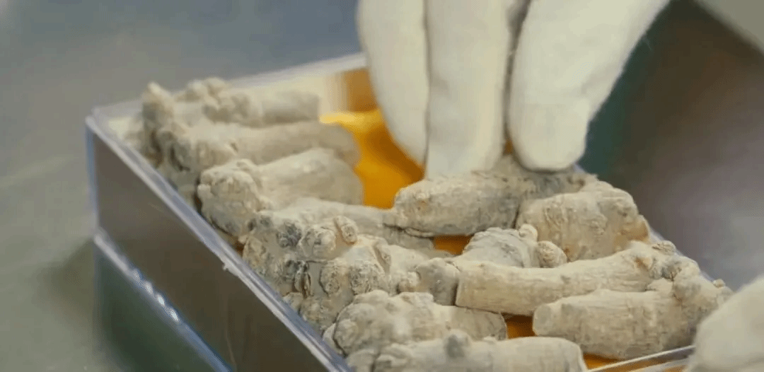 贝斯特 - 全球最奢华的游戏平台