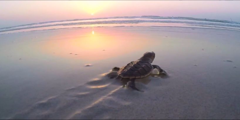 贝斯特 - 全球最奢华的游戏平台
