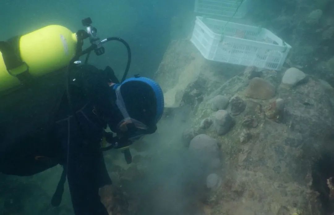 贝斯特 - 全球最奢华的游戏平台