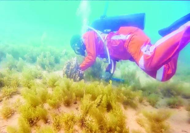 贝斯特 - 全球最奢华的游戏平台