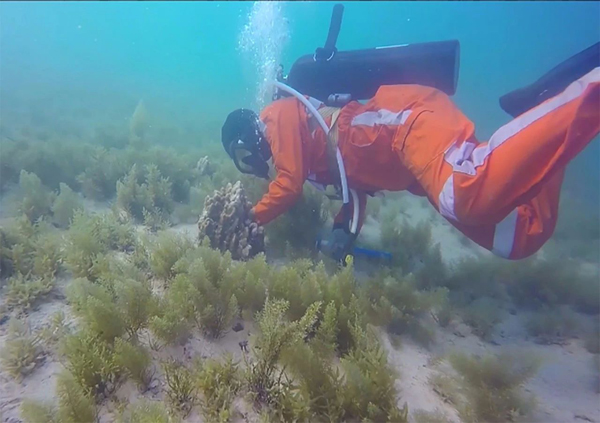 贝斯特 - 全球最奢华的游戏平台