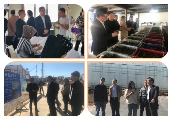 贝斯特 - 全球最奢华的游戏平台