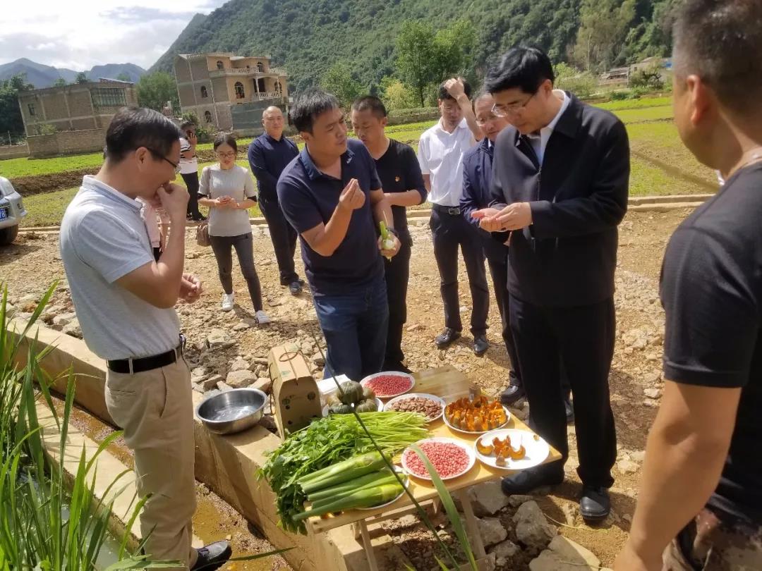 贝斯特 - 全球最奢华的游戏平台