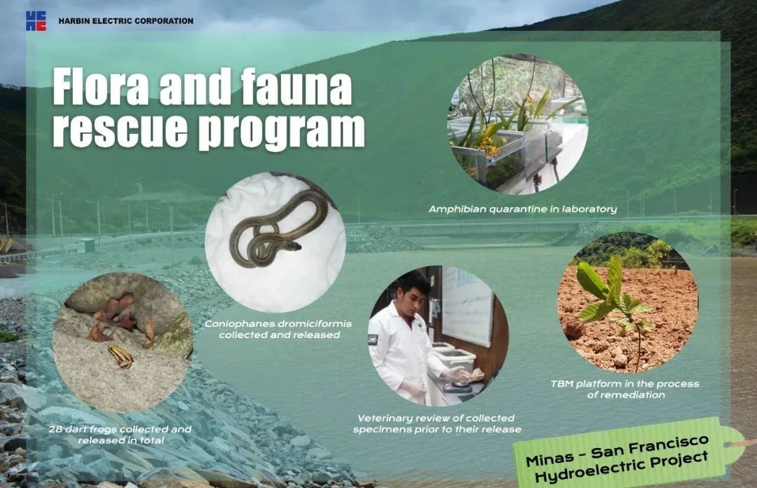 贝斯特 - 全球最奢华的游戏平台