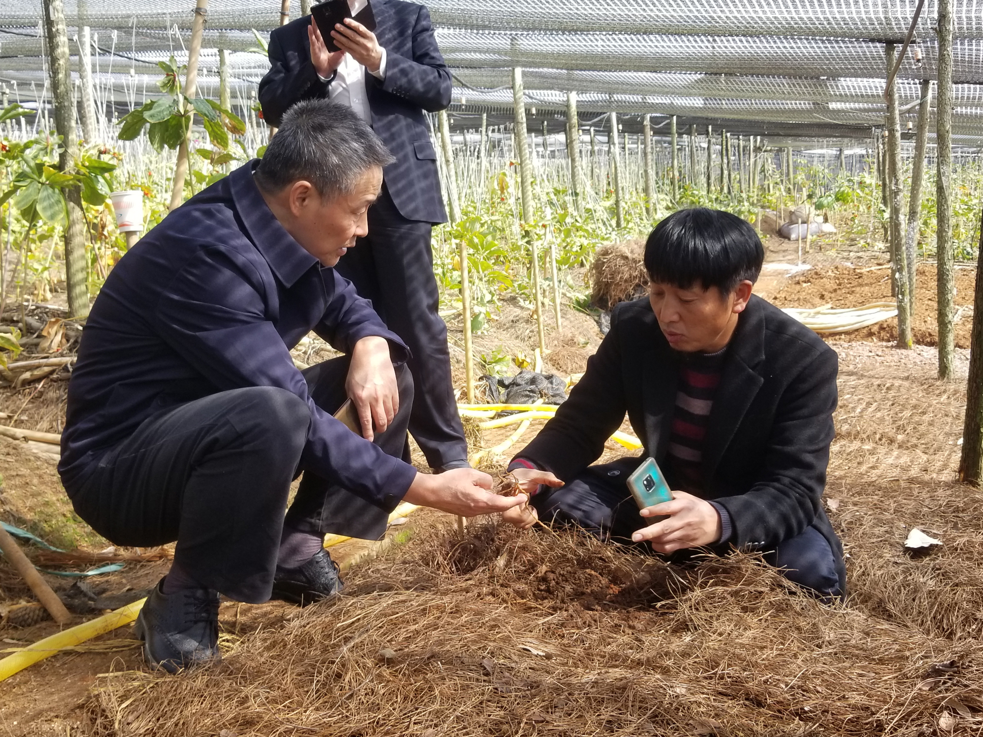 贝斯特 - 全球最奢华的游戏平台