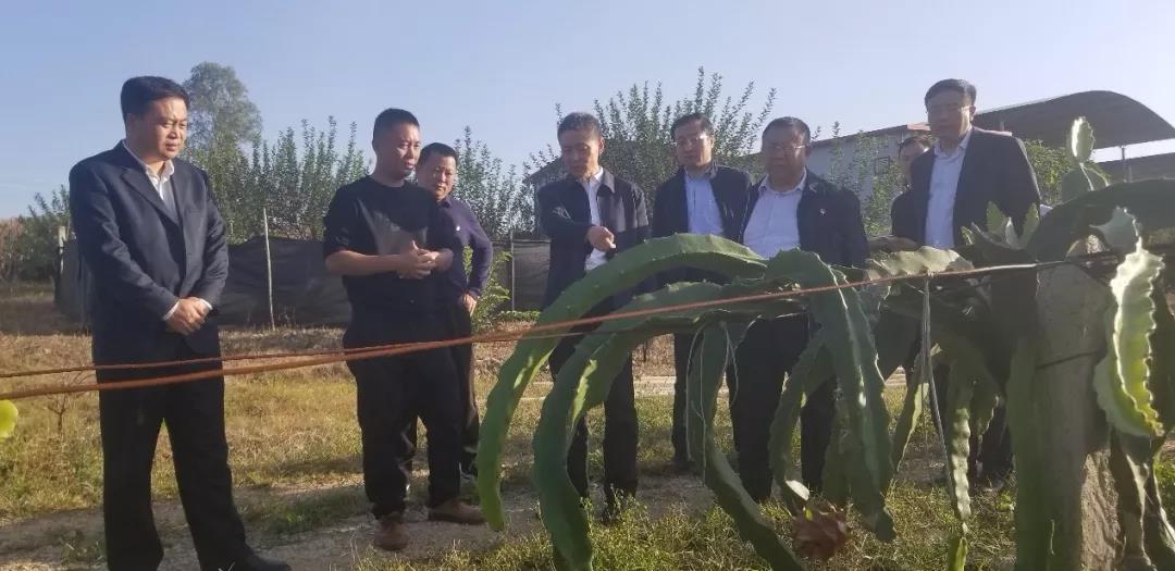 贝斯特 - 全球最奢华的游戏平台