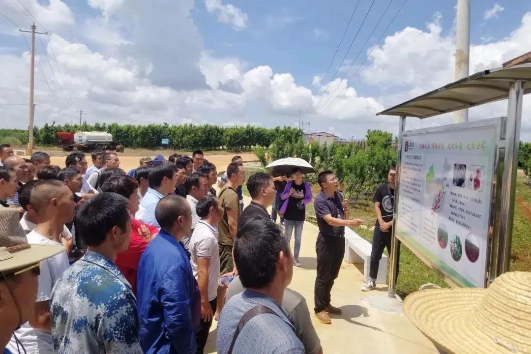 贝斯特 - 全球最奢华的游戏平台