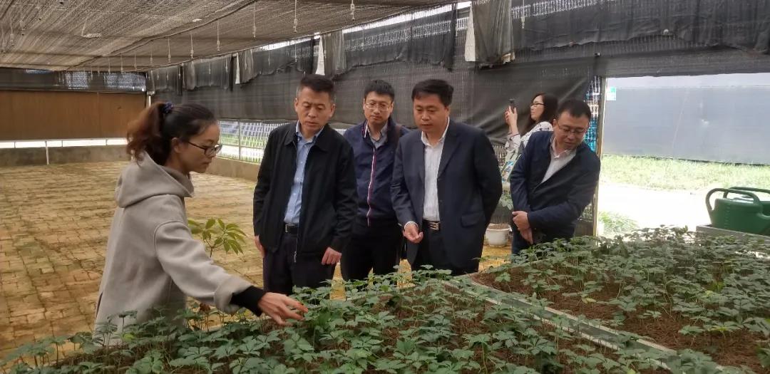 贝斯特 - 全球最奢华的游戏平台