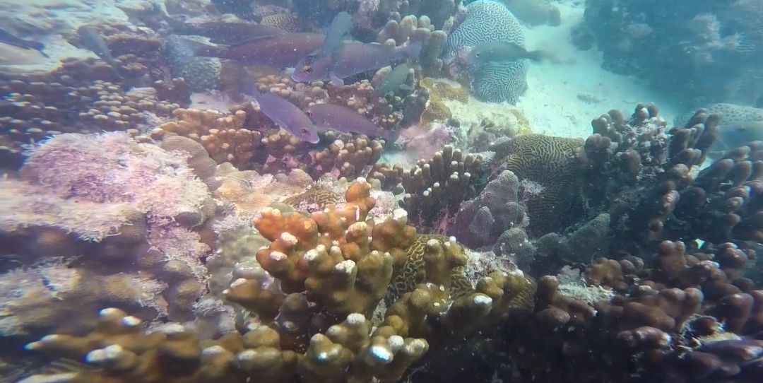 贝斯特 - 全球最奢华的游戏平台