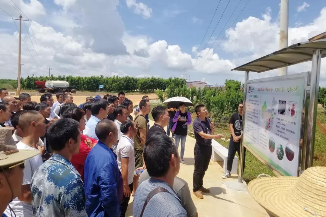 贝斯特 - 全球最奢华的游戏平台