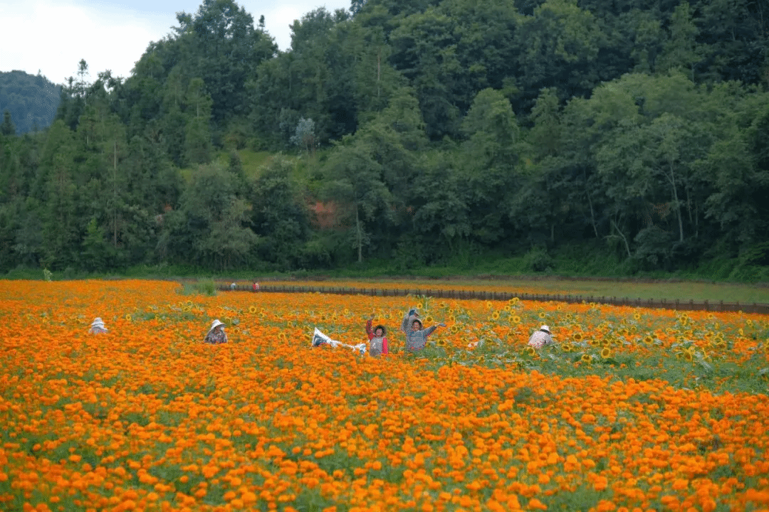贝斯特 - 全球最奢华的游戏平台