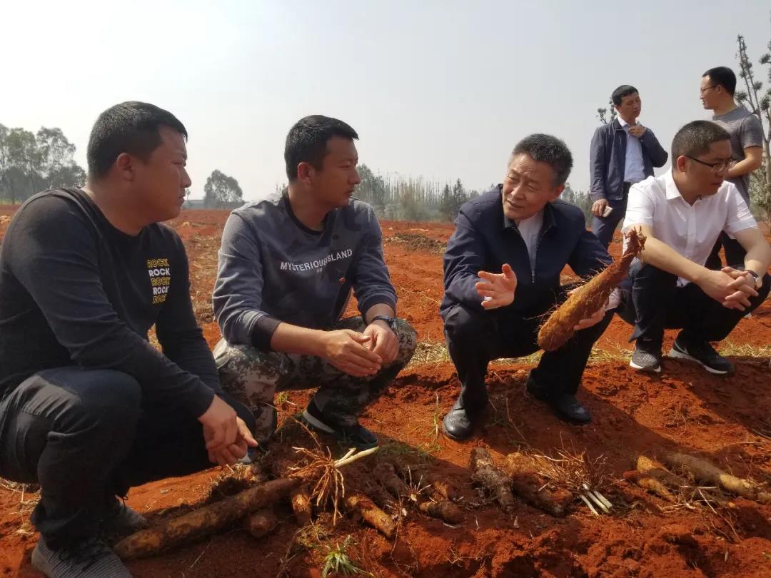 贝斯特 - 全球最奢华的游戏平台