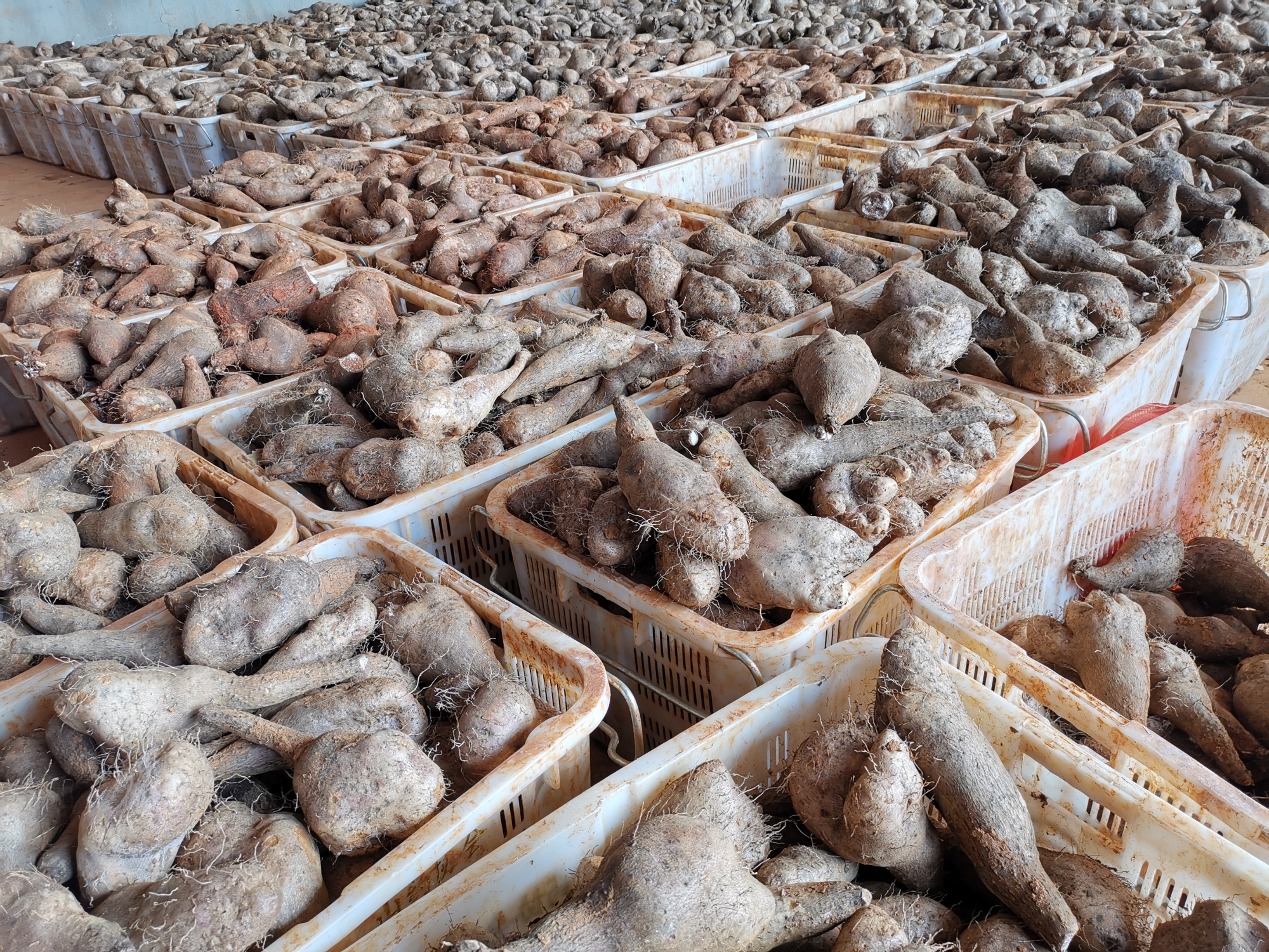 贝斯特 - 全球最奢华的游戏平台