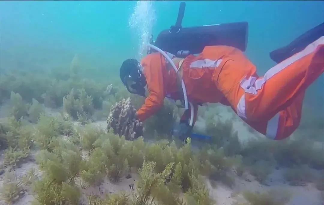 贝斯特 - 全球最奢华的游戏平台